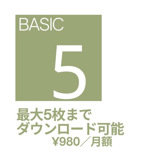 Another Earth 月額プラン (Basic)