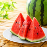 夏のスイカ
